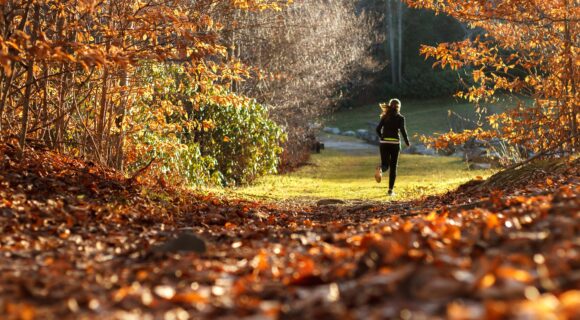 que faire automne geneve dix activites