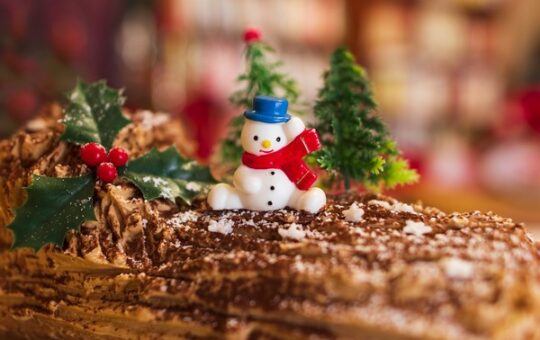 bonhomme de neige plastique sur bûche noël au chocolat