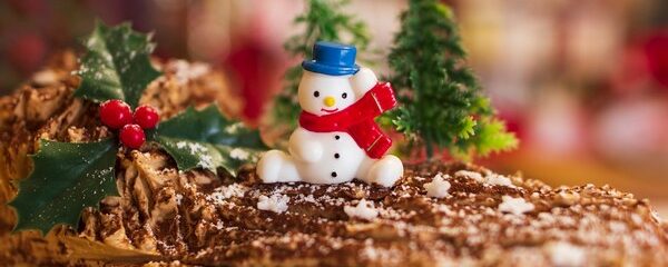 bonhomme de neige plastique sur bûche noël au chocolat